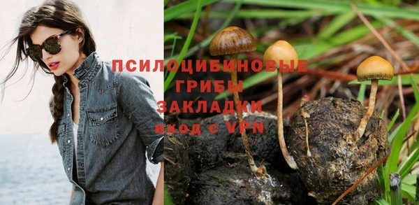 соль курить ск Нефтекумск
