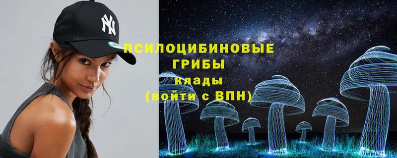 Псилоцибиновые грибы MAGIC MUSHROOMS  Нестеров 