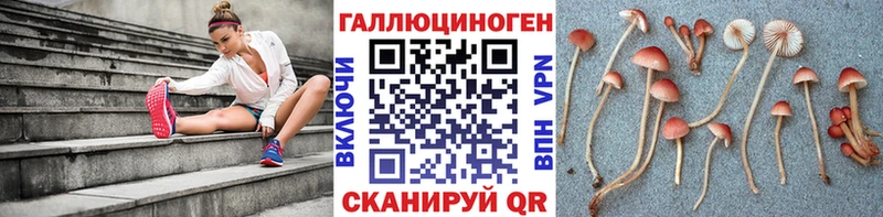 Псилоцибиновые грибы прущие грибы Нестеров